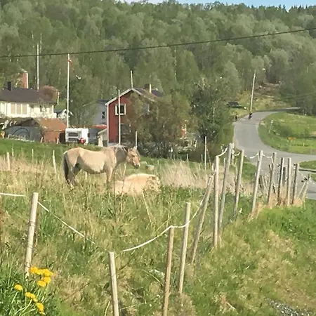 Feriehus Malsnes