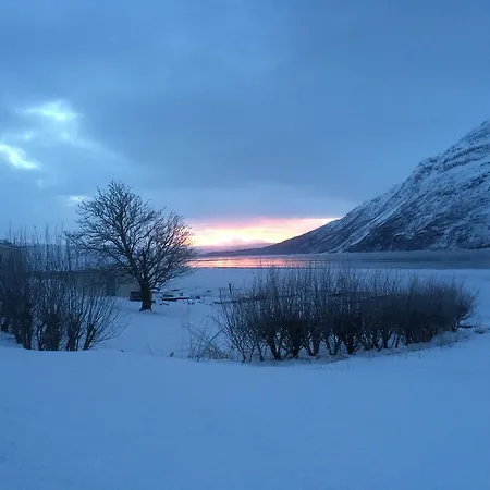 Feriehus *