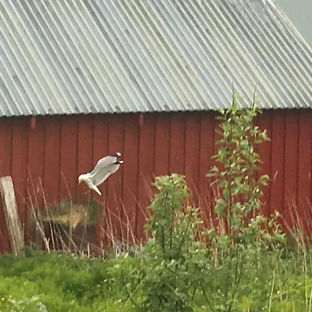 Feriehus *